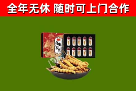 东乡回收冬虫夏草价格