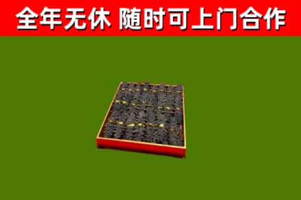 东乡回收海参
